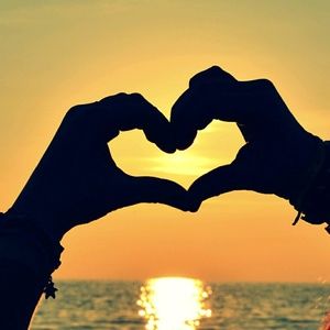 Meet your Posher, Carolina